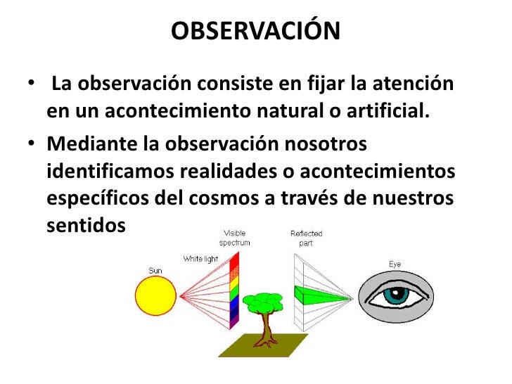 power point dictaminado en clases 27-06-2012 7° año