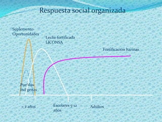Respuesta social organizada

Suplemento
Oportunidades
                 Leche fortificada
                 LICONSA
                                            Fortificación harinas




   Pueblos
   indígenas



    < 2 años         Escolares 5-12   Adultos
                     años
 