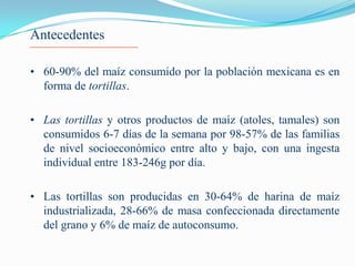 Antecedentes

• 60-90% del maíz consumido por la población mexicana es en
  forma de tortillas.

• Las tortillas y otros productos de maíz (atoles, tamales) son
  consumidos 6-7 días de la semana por 98-57% de las familias
  de nivel socioeconómico entre alto y bajo, con una ingesta
  individual entre 183-246g por día.

• Las tortillas son producidas en 30-64% de harina de maíz
  industrializada, 28-66% de masa confeccionada directamente
  del grano y 6% de maíz de autoconsumo.
 