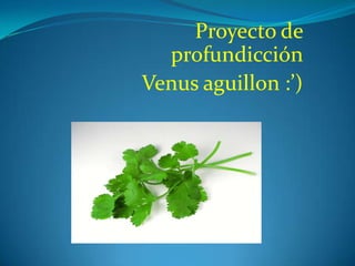 Proyecto de
  profundicción
Venus aguillon :’)
 