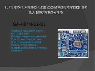 •Caché L3 varía según la CPU
•SOTCKET 1155
•Soporte para procesadores Intel
Core i7 / Intel Core i5 / Intel
Core i3 procesadores / Intel
Pentium / Intel Celeron
•Soporte para Microsoft Windows
7/Vista/XP
 