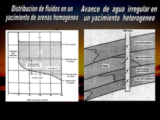 ING. RICARDO ESPINOSA
        RAMOS
 