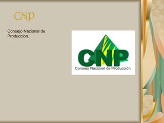 CNP
Consejo Nacional de
Produccion.
 