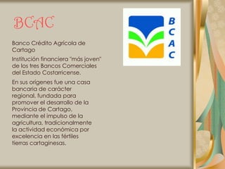 BCAC
Banco Crédito Agrícola de
Cartago
Institución financiera "más joven"
de los tres Bancos Comerciales
del Estado Costarricense.
En sus orígenes fue una casa
bancaria de carácter
regional, fundada para
promover el desarrollo de la
Provincia de Cartago,
mediante el impulso de la
agricultura, tradicionalmente
la actividad económica por
excelencia en las fértiles
tierras cartaginesas.
 