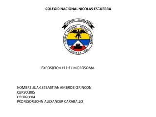 COLEGIO NACIONAL NICOLAS ESGUERRA




            EXPOSICION #11:EL MICROSOMA




NOMBRE:JUAN SEBASTIAN AMBROSIO RINCON
CURSO:805
CODIGO:04
PROFESOR:JOHN ALEXANDER CARABALLO
 