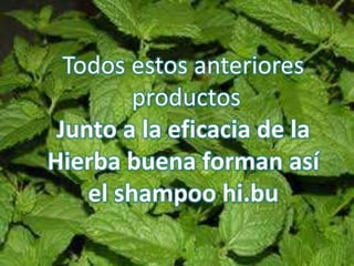 shampoo hi.bu