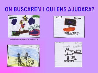 ON BUSCAREM I QUI ENS AJUDAR?? MIRAR BALENES DES DE UNA ROCA 