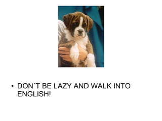 DON´T BE LAZY AND WALK INTO ENGLISH! 