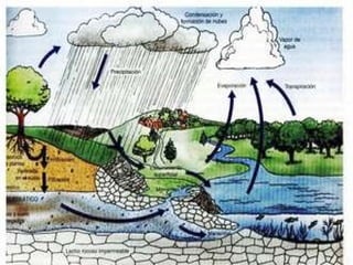 Ciclo Hidrológico  . 