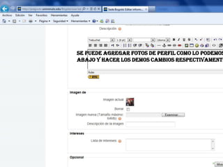 Se puede agregar fotos de perfil como lo podemos
abajo y hacer los demos cambios respectivamente
 