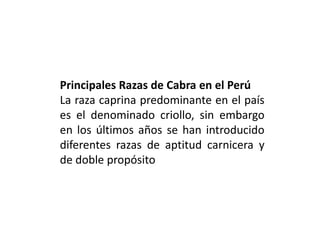 Principales Razas de Cabra en el Perú
La raza caprina predominante en el país
es el denominado criollo, sin embargo
en los últimos años se han introducido
diferentes razas de aptitud carnicera y
de doble propósito
 