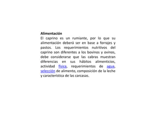 Alimentación
El caprino es un rumiante, por lo que su
alimentación deberá ser en base a forrajes y
pastos. Los requerimientos nutritivos del
caprino son diferentes a los bovinos y ovinos,
debe considerarse que las cabras muestran
diferencias en sus hábitos alimenticios,
actividad física, requerimientos de agua,
selección de alimento, composición de la leche
y característica de las carcasas.
 