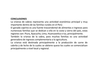CONCLUSIONES
La crianza de cabras representa una actividad económica principal y muy
importante dentro de las familias rurales en el Perú
El ganado caprino es una fuente trascendental de alimentos e ingresos para
numerosas familias que se dedican a ella en la costa y sierra del país, estas
regiones son: Piura, Ayacucho, Lima, Huancavelica e Ica, principalmente.
También la crianza de la cabra, para muchas familias es una actividad
generadora de ingresos complementaria a la agricultura.
La crianza está destinada principalmente a la producción de carne de
cabrito y de leche de la cuales se obtiene queso los cuales se comercializan
principalmente a nivel local y regional.
 