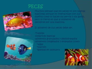 PECES
  Muchos piensan que los peces no son buenas
  mascotas porque no interactúan con sus
  dueños como lo hacen los perros o los gatos,
  pero lo cierto es que al momento de
  decidirse por una mascota.

  El alimento de sus peces debe ser.

  -Tubifex
  -lombrices blancas
  -alimentos granulados y deshidratados
  -alimentos congelados y enlatados como:
     *algas
     *plactón
     *gambas en salmuera
 