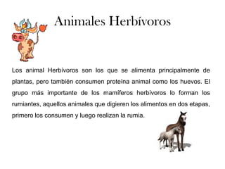 Animales Herbívoros
Los animal Herbívoros son los que se alimenta principalmente de
plantas, pero también consumen proteína animal como los huevos. El
grupo más importante de los mamíferos herbívoros lo forman los
rumiantes, aquellos animales que digieren los alimentos en dos etapas,
primero los consumen y luego realizan la rumia.