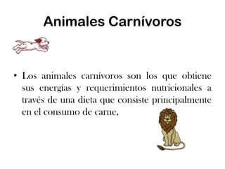 Animales Carnívoros
• Los animales carnívoros son los que obtiene
sus energías y requerimientos nutricionales a
través de una dieta que consiste principalmente
en el consumo de carne,