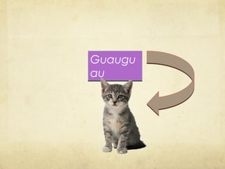 Guaugu
au
 