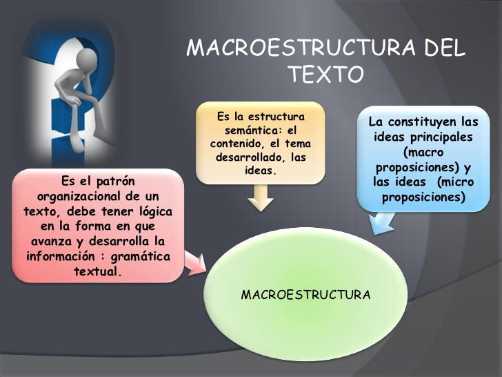 Macro-estructura del texto