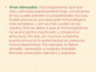• Vivas atenuadas: microorganismos que han
  sido cultivados expresamente bajo condiciones
  en las cuales pierden sus propiedades nocivas.
  Suelen provocar una respuesta inmunológica
  más duradera, y son las más usuales en los
  adultos. Esto se debe a que el microorganismo
  no se encuentra inactivado y conserva su
  estructura. Por eso, en muchas ocasiones
  puede provocar la enfermedad en personas
  inmunodeprimidas. Por ejemplo: la fiebre
  amarilla, sarampión o rubéola (también
  llamada sarampión alemán) y paperas.
 