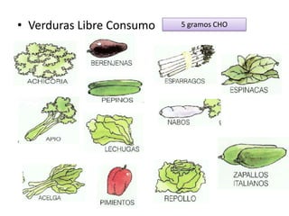 • Verduras Libre Consumo   5 gramos CHO
 