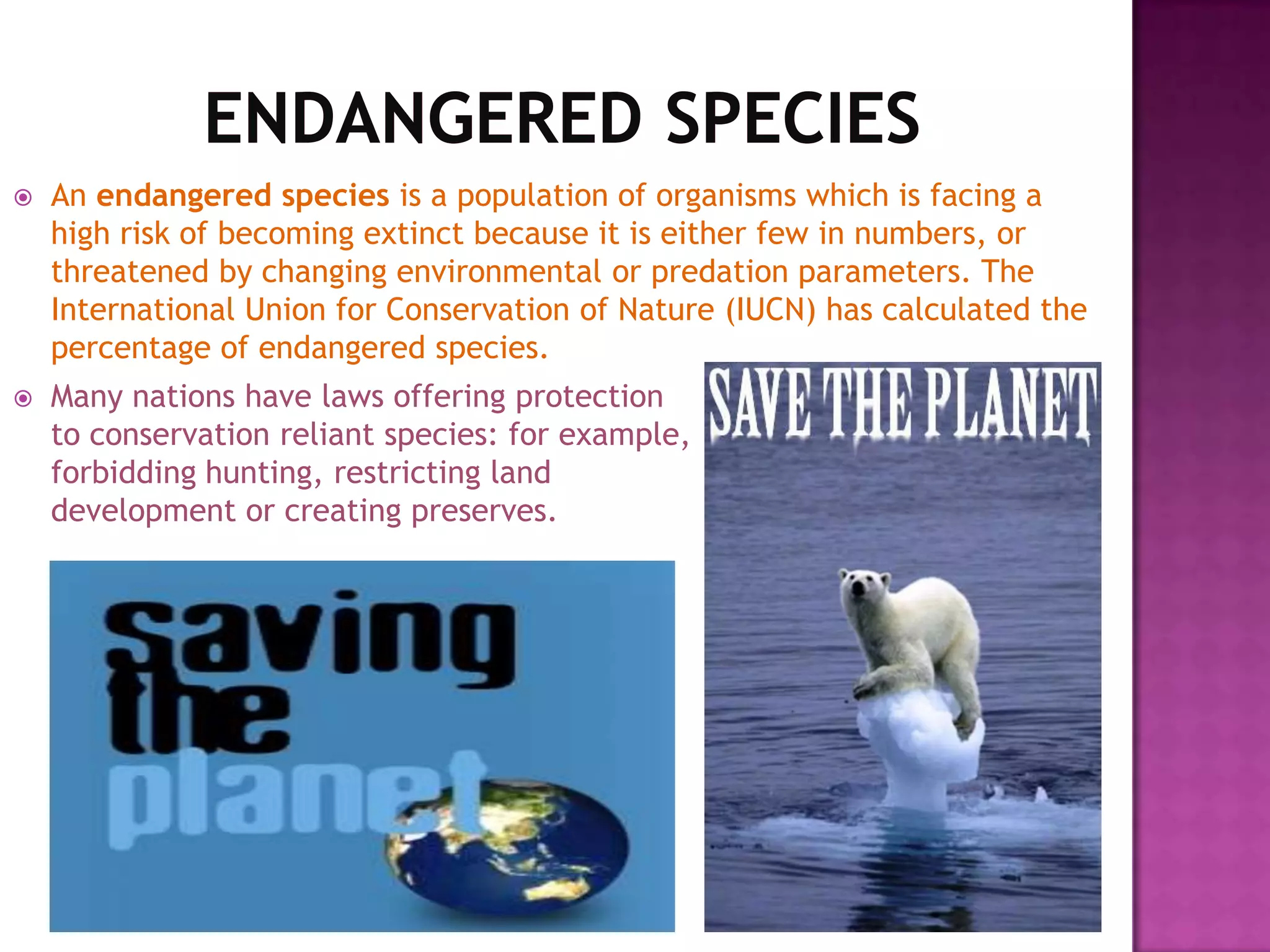 Endangered Species | PPTX