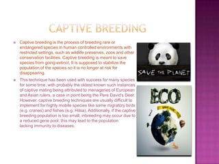 Endangered Species | PPTX