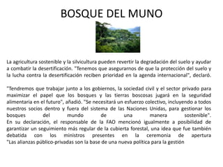 BOSQUE DEL MUNO


La agricultura sostenible y la silvicultura pueden revertir la degradación del suelo y ayudar
a combatir la desertificación. "Tenemos que asegurarnos de que la protección del suelo y
la lucha contra la desertificación reciben prioridad en la agenda internacional", declaró.

"Tendremos que trabajar junto a los gobiernos, la sociedad civil y el sector privado para
maximizar el papel que los bosques y las tierras boscosas jugará en la seguridad
alimentaria en el futuro", añadió. "Se necesitará un esfuerzo colectivo, incluyendo a todos
nuestros socios dentro y fuera del sistema de las Naciones Unidas, para gestionar los
bosques         del         mundo         de         una        manera           sostenible".
En su declaración, el responsable de la FAO mencionó igualmente a posibilidad de
garantizar un seguimiento más regular de la cubierta forestal, una idea que fue también
debatida con los ministros presentes en la ceremonia de apertura
"Las alianzas público-privadas son la base de una nueva política para la gestión
 