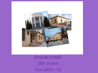 Grup de treball
  ZER el Jonc
Curs 2012 - 13
 