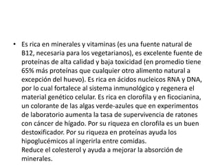 • Es rica en minerales y vitaminas (es una fuente natural de
  B12, necesaria para los vegetarianos), es excelente fuente de
  proteínas de alta calidad y baja toxicidad (en promedio tiene
  65% más proteínas que cualquier otro alimento natural a
  excepción del huevo). Es rica en ácidos nucleicos RNA y DNA,
  por lo cual fortalece al sistema inmunológico y regenera el
  material genético celular. Es rica en clorofila y en ficocianina,
  un colorante de las algas verde-azules que en experimentos
  de laboratorio aumenta la tasa de supervivencia de ratones
  con cáncer de hígado. Por su riqueza en clorofila es un buen
  destoxificador. Por su riqueza en proteínas ayuda los
  hipoglucémicos al ingerirla entre comidas.
  Reduce el colesterol y ayuda a mejorar la absorción de
  minerales.
 