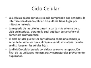 Ciclo Celular
• Las células pasan por un ciclo que comprende dos periodos: la
  interfase y la división celular. Esta ultima tiene lugar por
  mitosis o meiosis.
• La mayoría de las células pasan la parte más extensa de su
  vida en interface, durante la cual duplican su tamaño y el
  contenido cromosómico.
• El ciclo celular puede ser considerado como una compleja
  serie de fenómenos que culminan cuando el material celular
  se distribuye en las células hijas.
• La división celular puede considerarse como la separación
  final de las unidades moleculares y estructurales previamente
  duplicadas.
 