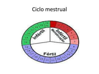 Ciclo mestrual
 