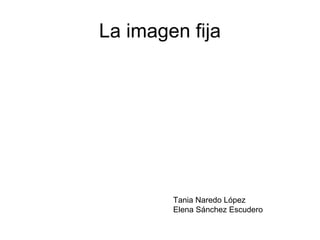 La imagen fija




        Tania Naredo López
        Elena Sánchez Escudero
 