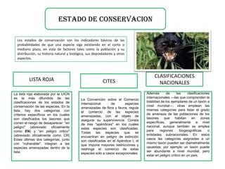 ESTADO DE CONSERVACION

  Los estados de conservación son los indicadores básicos de las
  probabilidades de que una especie siga existiendo en el corto o
  mediano plazo, en vista de factores tales como la población y su
  distribución, su historia natural y biológica, sus depredadores y otros
  aspectos.



                                                                                         CLASIFICACIONES
          LISTA ROJA                                      CITES                            NACIONALES
La lista roja elaborada por la UICN                                                 Además        de     las     clasificaciones
es la más difundida de las                                                          internacionales —las que comprenden la
                                            La Convención sobre el Comercio
clasificaciones de los estados de                                                   totalidad de los ejemplares de un taxón a
                                            Internacional      de      especies
conservación de las especies. En la                                                 nivel mundial—, otras emplean las
                                            amenazadas de flora y fauna, regula
lista, hay dos categorías con                                                       mismas categorías para listar el grado
                                            el comercio de las especies
criterios específicos en los cuales                                                 de amenaza de las poblaciones de los
                                            amenazadas, con el objeto de
son clasificados los taxones que                                                    taxones     que     habitan     en    zonas
                                            asegurar su supervivencia. Consta
corren el riesgo de desaparecer: "en                                                específicas, generalmente a nivel
                                            de tres "apéndices" en los cuales
peligro" (abreviado oficialmente                                                    nacional, aunque también se emplea
                                            estas especies son clasificadas.
como EN) y “en peligro critico"                                                     para     regiones      biogeográficas      o
                                            Todas las especies que se
(abreviado oficialmente como CR)                                                    entidades subnacionales. En estos
                                            encuentran en peligro de extinción
Estas últimas dos categorías, junto                                                 casos las categorías asignadas a un
                                            son clasificadas en el Apéndice I, el
con “vulnerable", integran a las                                                    mismo taxón pueden ser diametralmente
                                            que impone mayores restricciones y
especies amenazadas dentro de la                                                    opuestas; por ejemplo un taxón puede
                                            restringe el comercio de estas
lista.                                                                              ser abundante a nivel mundial, pero
                                            especies solo a casos excepcionales.
                                                                                    estar en peligro crítico en un país.
 