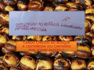 CANDO CHEGOU AO BOSQUE
A CASTAÑEIRA VIU CASTAÑAS
   POR TODAS PARTES!!!
 