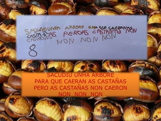 SACUDIU UNHA ÁRBORE
PARA QUE CAERAN AS CASTAÑAS
PERO AS CASTAÑAS NON CAERON
       NON NON NON
 