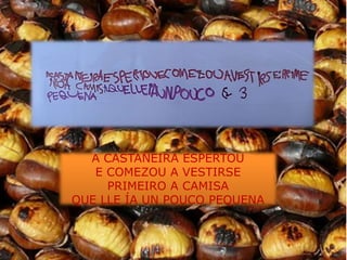 A CASTAÑEIRA ESPERTOU
   E COMEZOU A VESTIRSE
     PRIMEIRO A CAMISA
QUE LLE ÍA UN POUCO PEQUENA
 