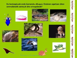 Ea kontzeptuak ondo barneratu ditugun. Ondoren agertzen diren animalietatik zeintzuk dira ornogabeak? 