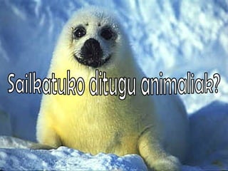 Sailkatuko ditugu animaliak? 