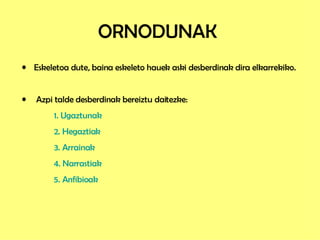 Eskeletoa dute, baina eskeleto hauek aski desberdinak dira elkarrekiko. Azpi talde desberdinak bereiztu daitezke: 1. Ugaztunak 2. Hegaztiak 3. Arrainak 4. Narrastiak 5. Anfibioak ORNODUNAK 