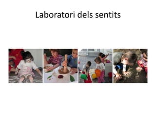 Laboratori dels sentits
 