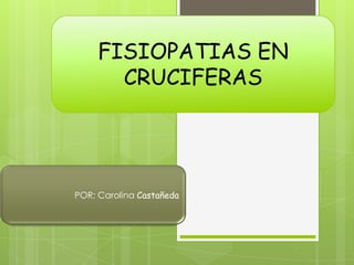 FISIOPATIAS EN
       CRUCIFERAS




POR: Carolina Castañeda
 