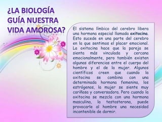 El sistema límbico del cerebro libera
una hormona especial llamada oxitocina.
Esto sucede en una parte del cerebro
en la que sentimos el placer emocional.
La oxitocina hace que la pareja se
sienta más vinculada y cercana
emocionalmente, pero también existen
algunas diferencias entre el cuerpo del
hombre y el de la mujer. Algunos
científicos creen que cuando la
oxitocina    se   combina    con    una
determinada hormona femenina, los
estrógenos, la mujer se siente muy
cariñosa y conversadora. Pero cuando la
oxitocina se mezcla con una hormona
masculina, la testosterona, puede
provocarle al hombre una necesidad
incontenible de dormir.
 