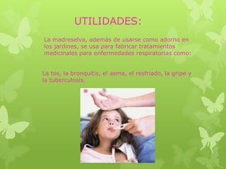 UTILIDADES:
La madreselva, además de usarse como adorno en
los jardines, se usa para fabricar tratamientos
medicinales para enfermedades respiratorias como:


La tos, la bronquitis, el asma, el resfriado, la gripe y
la tuberculosis.
 