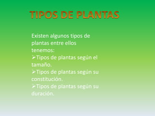 Existen algunos tipos de
plantas entre ellos
tenemos:
Tipos de plantas según el
tamaño.
Tipos de plantas según su
constitución.
Tipos de plantas según su
duración.
 