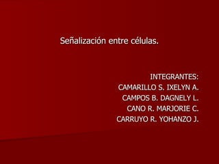 Señalización entre células. INTEGRANTES: CAMARILLO S. IXELYN A. CAMPOS B. DAGNELY L. CANO R. MARJORIE C. CARRUYO R. YOHANZO J. 