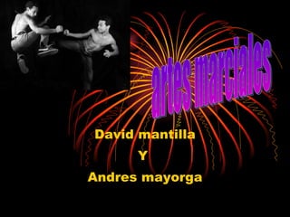David mantilla Y  Andres mayorga artes marciales 