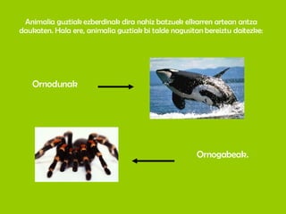 Animalia guztiak ezberdinak dira nahiz batzuek elkarren artean antza daukaten. Hala ere, animalia guztiak bi talde nagusitan bereiztu daitezke: Ornodunak Ornogabeak. 