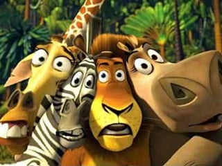 LOS ANIMALITOS DE LA SELVA