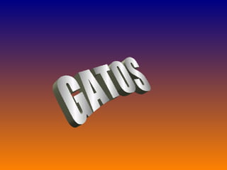 GATOS 