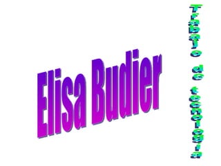 Trabajo de tecnología Elisa Budier 